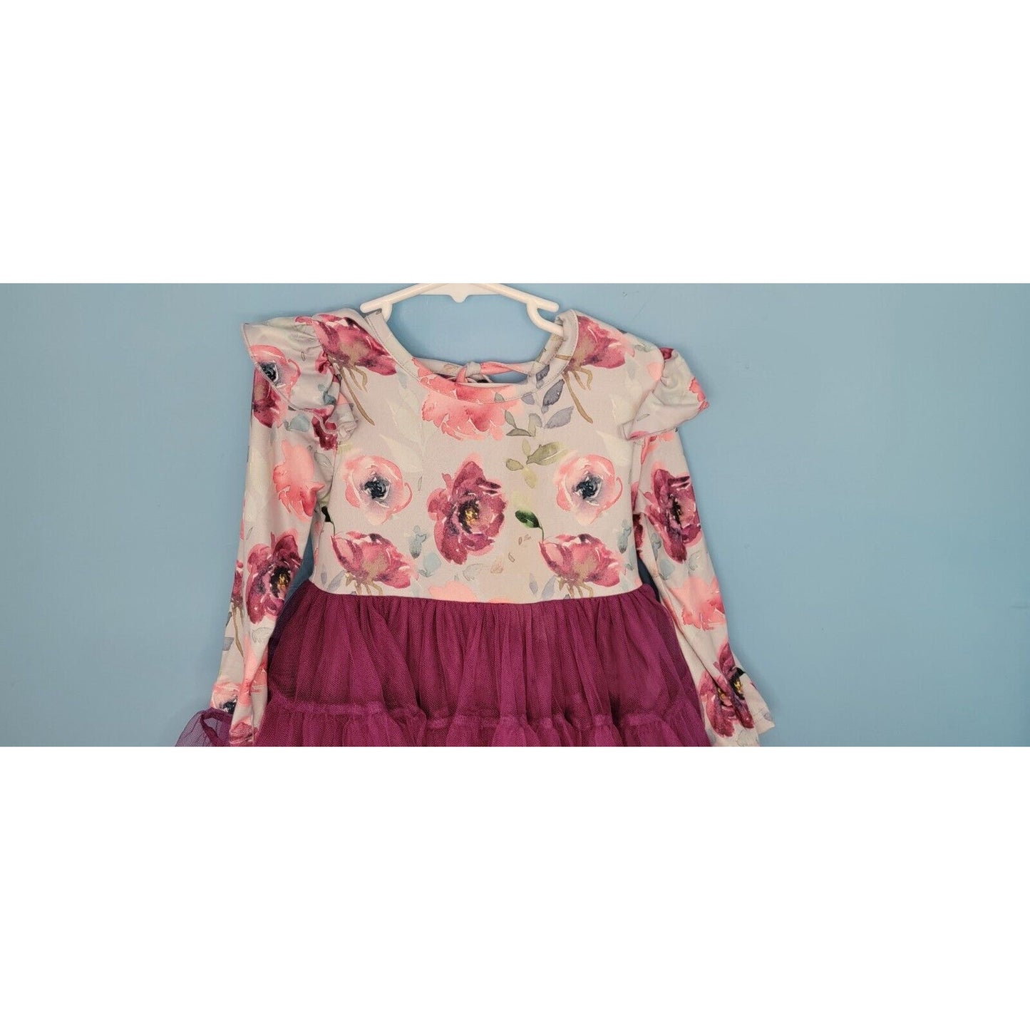 Girls Blue Floral Long Sleeve Layered Purple Tulle Dress Size Small (2T/3T)