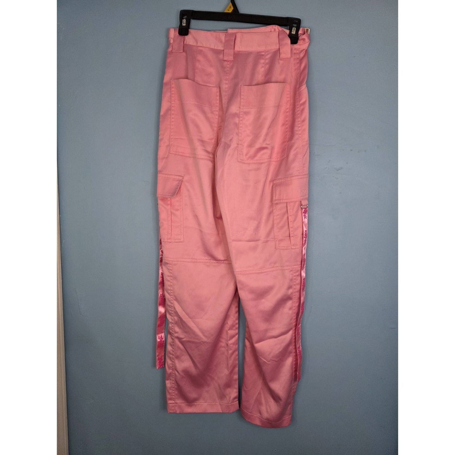 Dolls Kill Bratz Pink Satin Cargo Pants Small Baggy Pants Y2k 2000 Rare