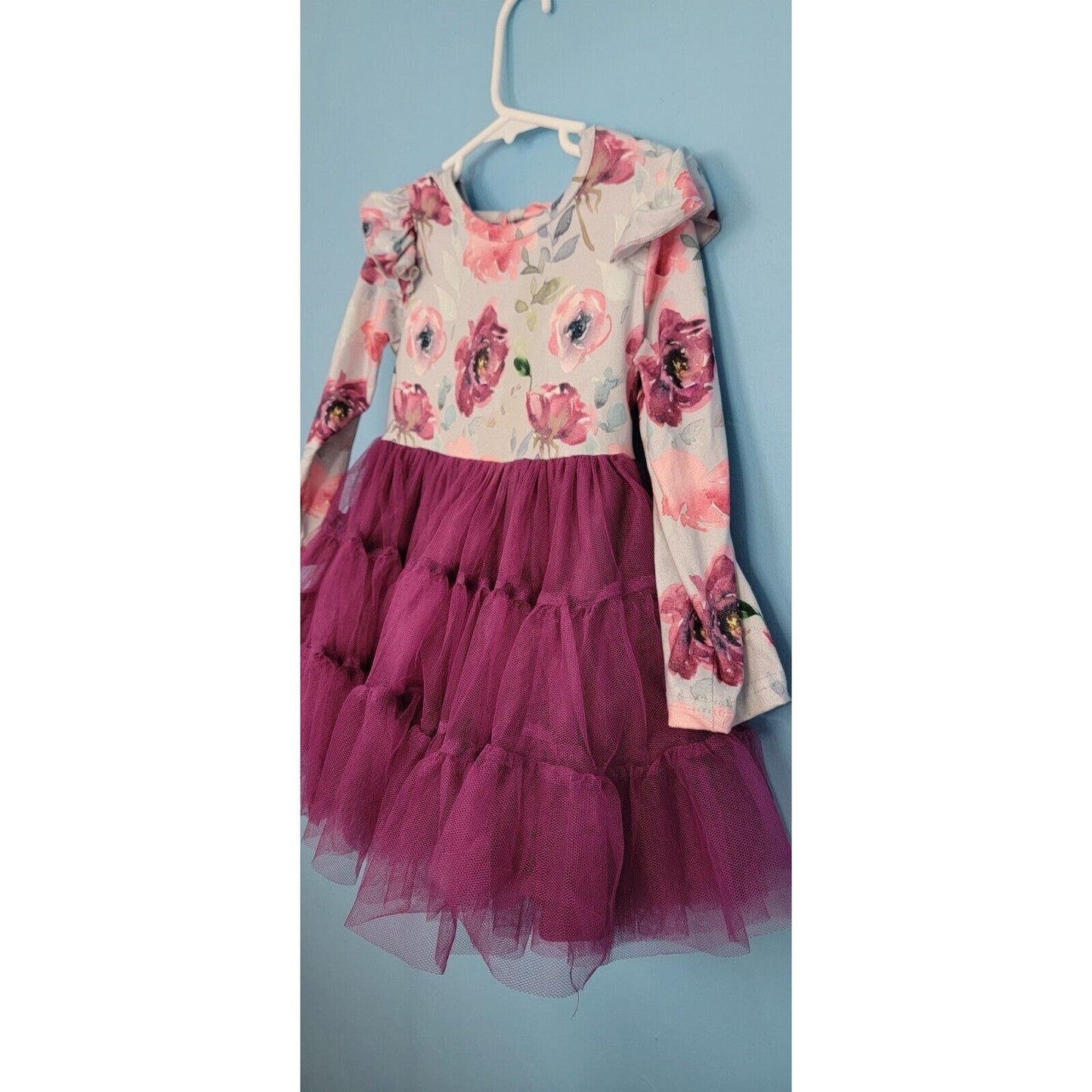 Girls Blue Floral Long Sleeve Layered Purple Tulle Dress Size Small (2T/3T)