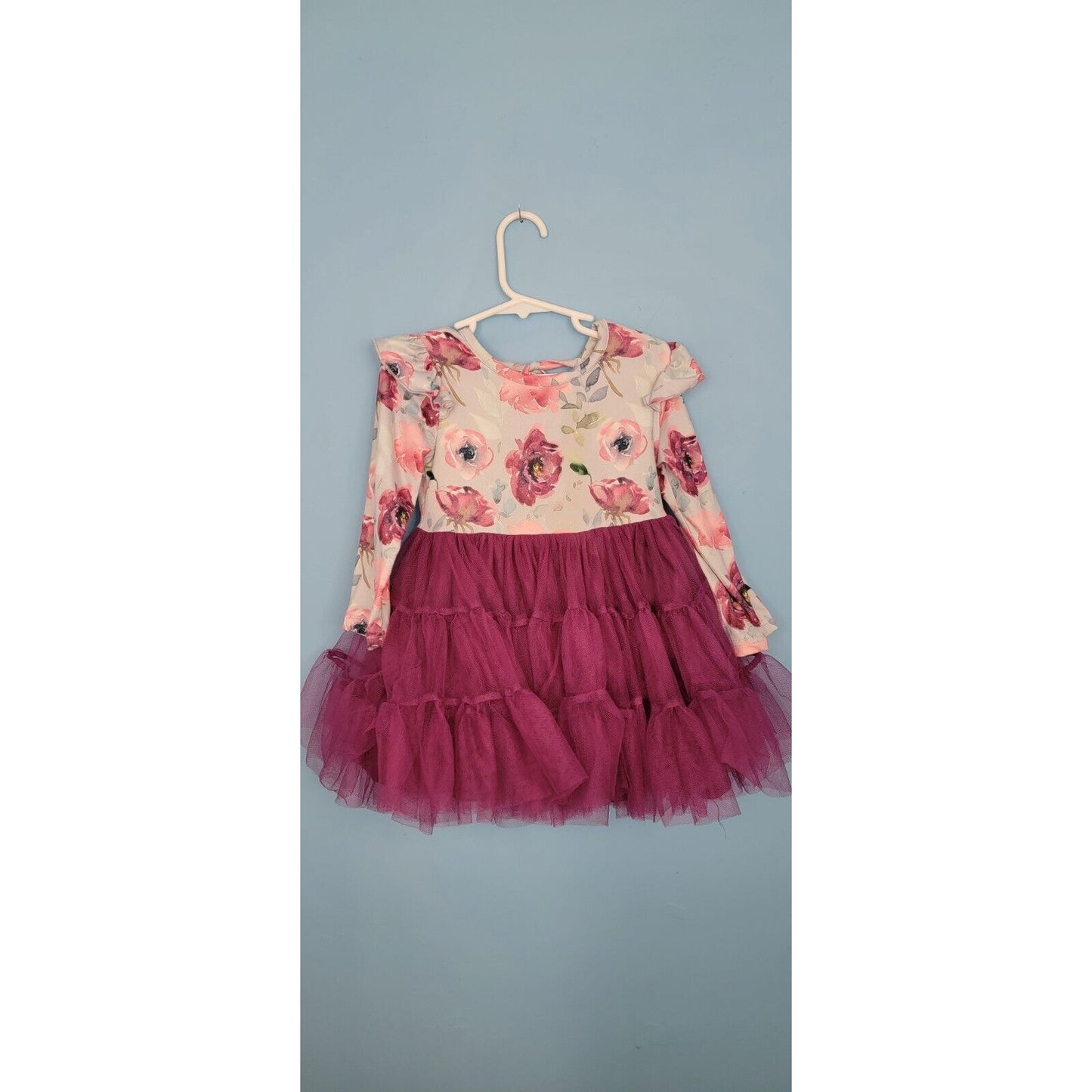 Girls Blue Floral Long Sleeve Layered Purple Tulle Dress Size Small (2T/3T)